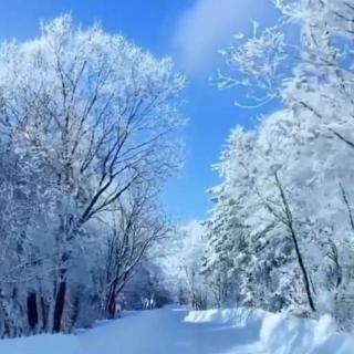 北方的冰雪