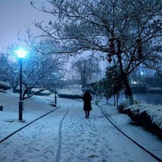 我在雪夜找你