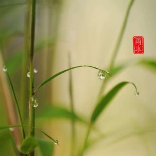 宁雨《雨水》朗读：苏敏