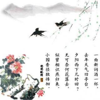 浣溪沙·一曲新词

晏殊      