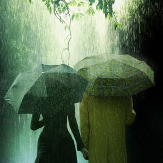 《雨的随想》  文/汪国真