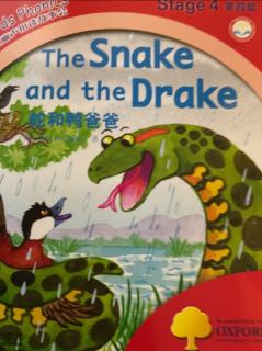 The Snake and The Drake