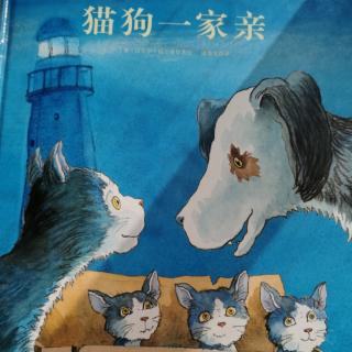 《猫狗一家亲》—桃子姐姐