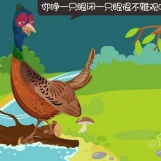 十街幼儿园园长妈妈睡前故事272《爱议论的山鸡🐔》