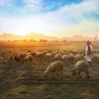 牧羊少年奇幻之旅（33）