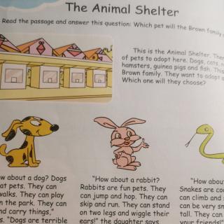 The animal shelter