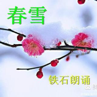 《春雪》