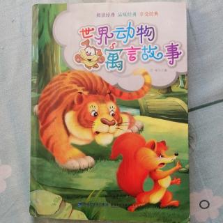 《动物寓言故事》～《猴子和鬣狗》