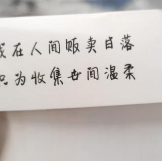 开满鲜花的小路