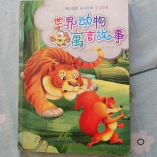 《动物寓言故事》~《小傻兔》