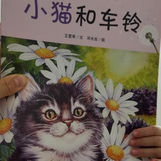 猫和车铃