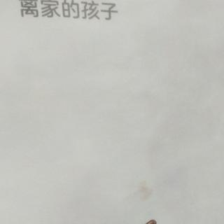 离家的孩子