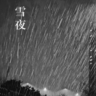 《我在雪夜找你》