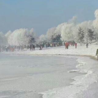 贾金桃《这一场雪为我而来》诵读琴姐