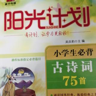 《阳光计划》75首