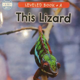 A98—This Lizard