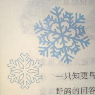 1330《一片雪花的重量》