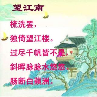 徐卫东二胡吟诵《望江南》（梳洗罢）（温庭筠）