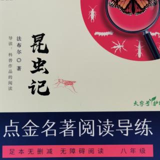 昆虫记——圣甲虫的爱好