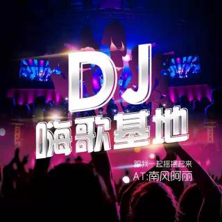 《爱的暴风雨》DJ