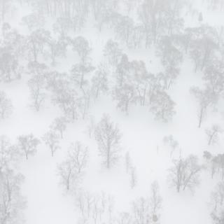 《我在雪夜找你》