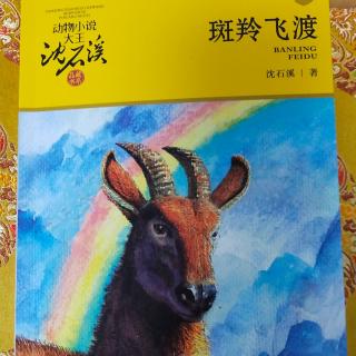 1沈石溪动物小说之《红奶羊》（作者自序）