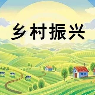 文旅商网红项目典型案例-上