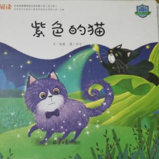 紫色的猫