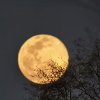 《今夜有雨敲窗》
文/惠维玺