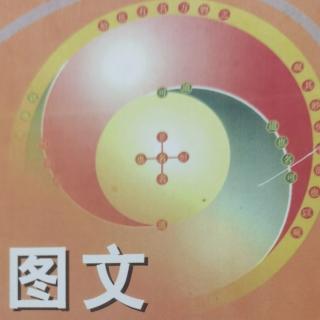 文理基因系统