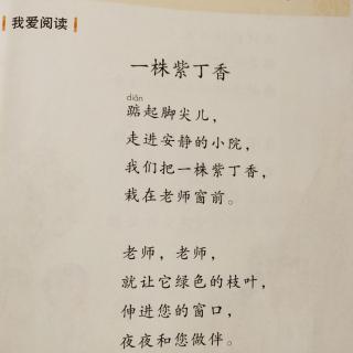 一株紫丁香