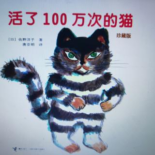 绘本故事分享391：《活了100万次的猫》