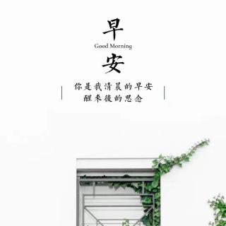 写给那些曾经走散的朋友　文　陈大力