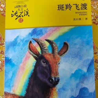 3沈石溪动物小说之《红奶羊》