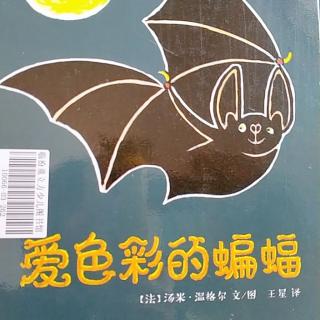 《爱色彩的蝙蝙》