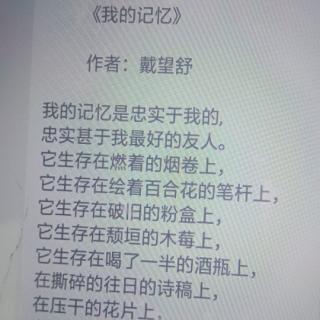 《我的记忆》