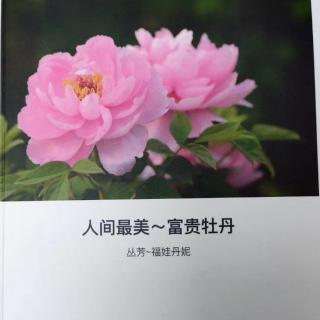 声母及字词练习