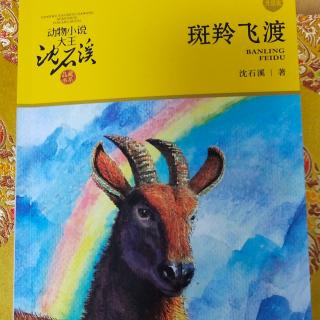 4沈石溪动物小说之《红奶羊》
