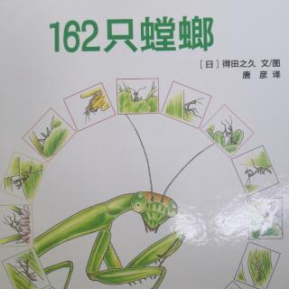 162只螳螂