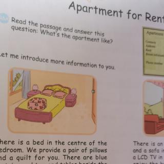 Apartmen for rent