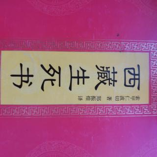 《西藏生死书》004