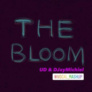 UD, DJayMichiel - The Bloom (抖音剪辑版 ）