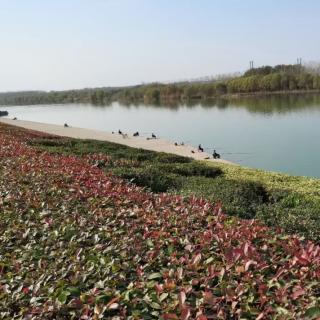 《西江月·春日观感》文 浩洋