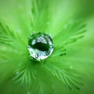 第一场春雨  作者 上善若水 主播～如水