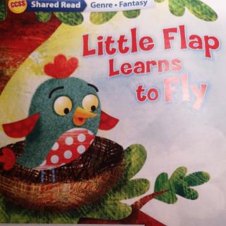 Little Flap Learns to Fly220308