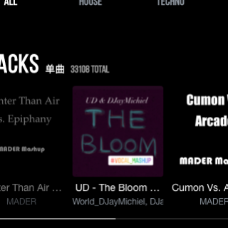 DJayMIchiel电台-UD - The Bloom (Inst. Mix)