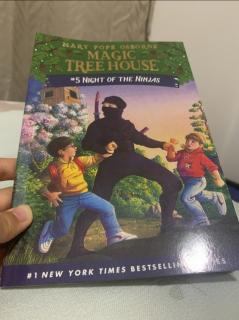 20220307十七讲故事 Magic treehouse book number five night of the ninjas