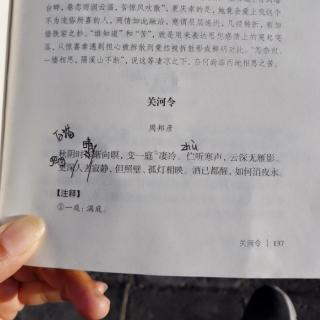 宋词三百首关河令周邦彦秋阴时晴渐向暝