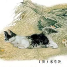 13.猫