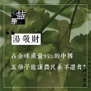 五倍子2｜汤敬财×大我：占全球产量95%的中国五倍子能让农民永不还贫？